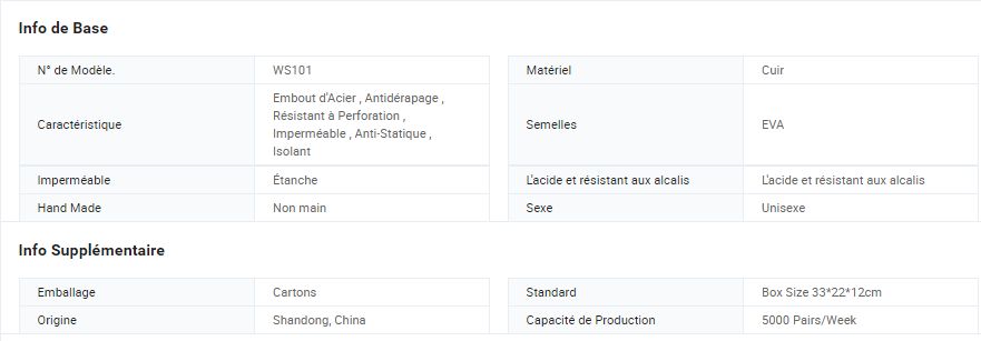 Ws101 - Chaussure de cuisine antistatique - Focus Technology Co., Ltd. - Poids : 1.0 kg_5