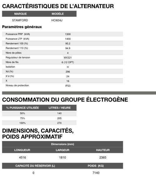AT-1270 60 Hz triphasé - Groupe électrogène en container Inmesol - 1264,5 kVA, moteur MTU et alternateur Stamford_5