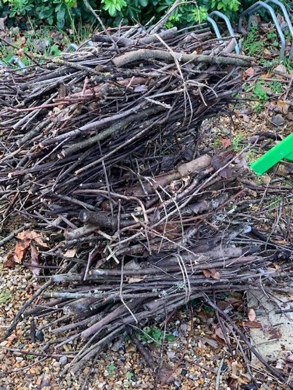 Fagoteuse - Fagoteuse pour 1 fagot_5