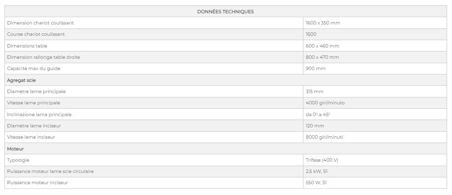 Optima 1600-315 - Scie à format - DM Italia SRL - Capacité max du guide 900 mm - DMCI008 - Chariot inclinable et double moteur_5