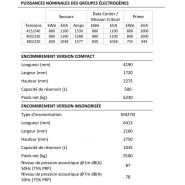 Générateur industriel avec moteur à injection à rampe commune