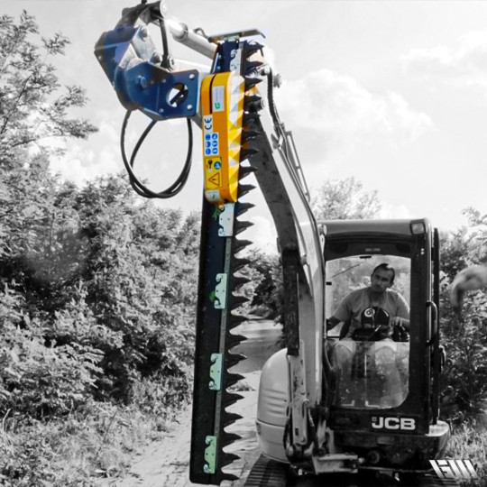 Taille haie pour taillage efficace et sécurisé