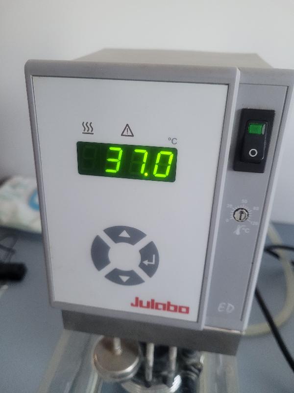 Bain thermostaté avec thermostat à immersion JULABO type ED_5