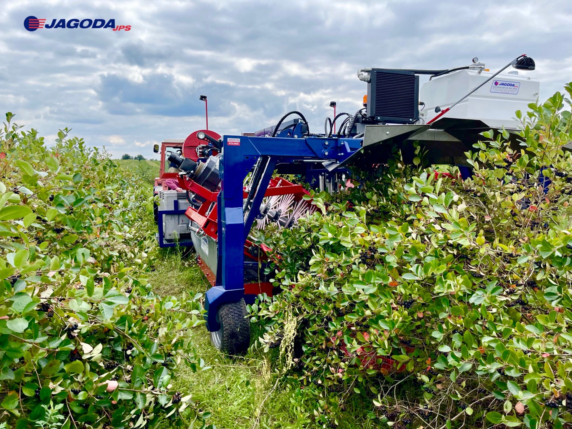 Machine agricole pour une récolte à faible taux d’impuretés et fruits endommagés