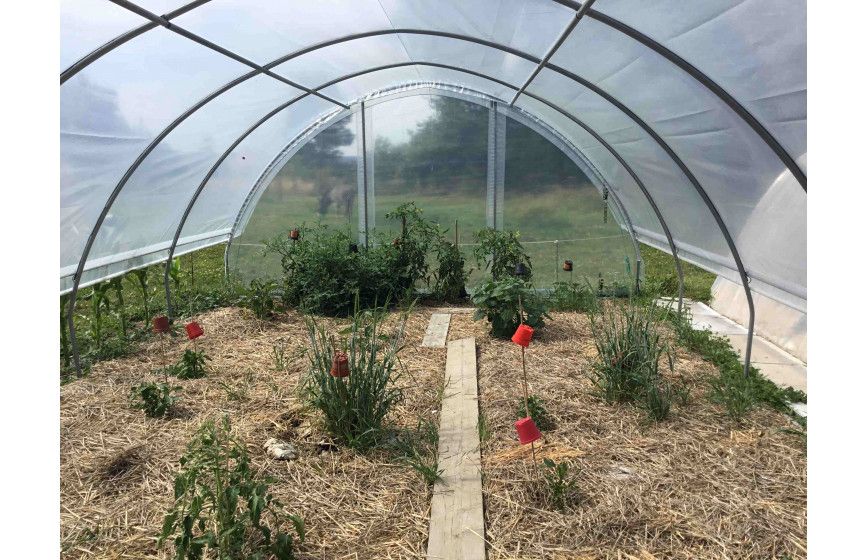 Serre de jardin avec aérations latérales et pieds droits de  0,50 m de haut - GOTHIQUE_6