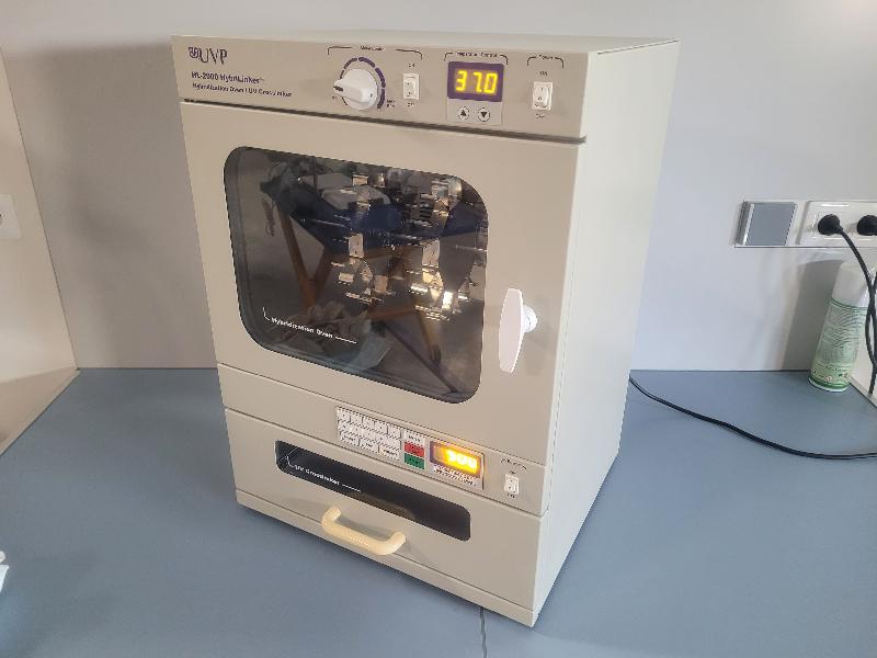 UVP Incubateur d'hybridation HL-2000_5