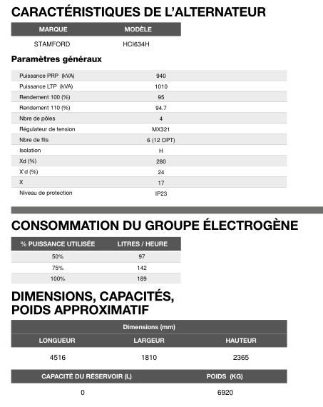 Groupe électrogène en container AT-1010 - 50 Hz triphasé - Inmesol - 912 kVA PRP / 1007 kVA LTP_5