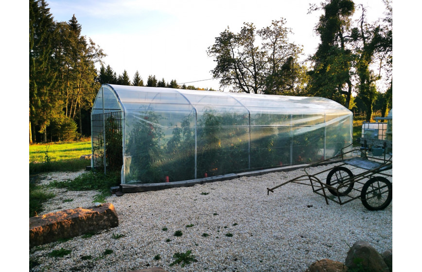 Serre à tomates avec une ventilation optimale et permanente idéale pour la protection des cultures contre les intempéries - 3 à 12 m de long_5