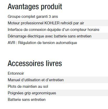 Groupe électrogène 6,30 kW pour usage domestique ou professionnel