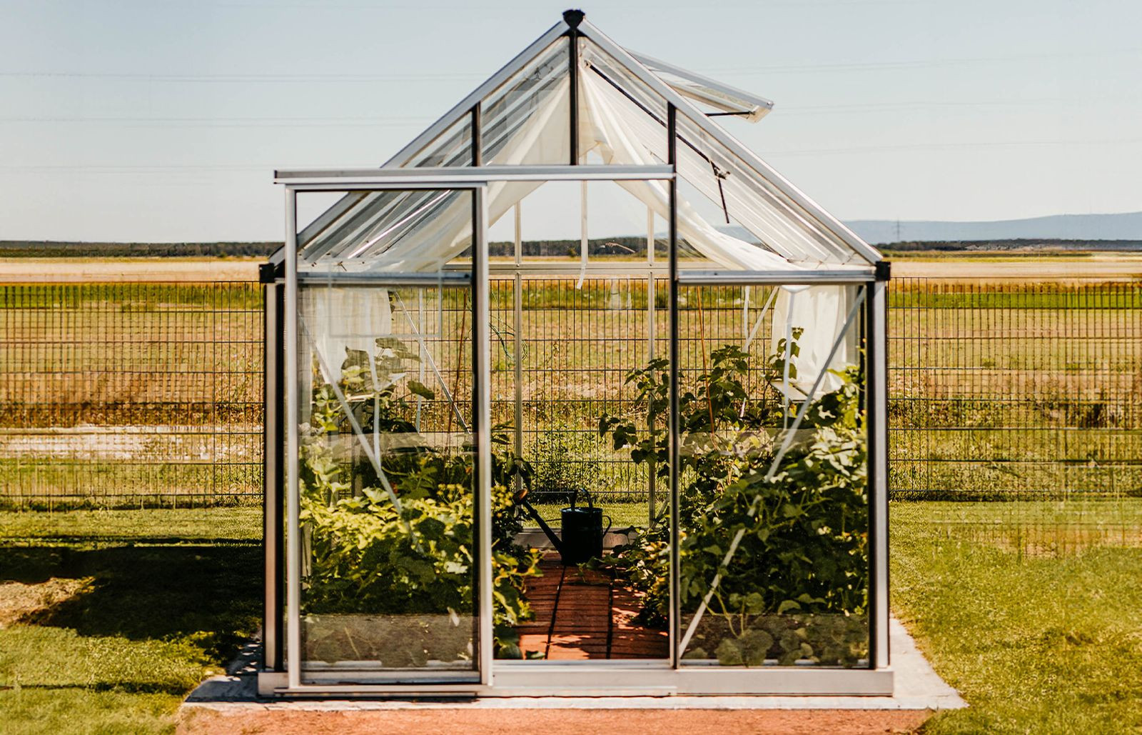 Serre  en verre compacte et élégante pour un espace de cultures lumineux et un véritable coin de vie au jardin - EOS Junior_5