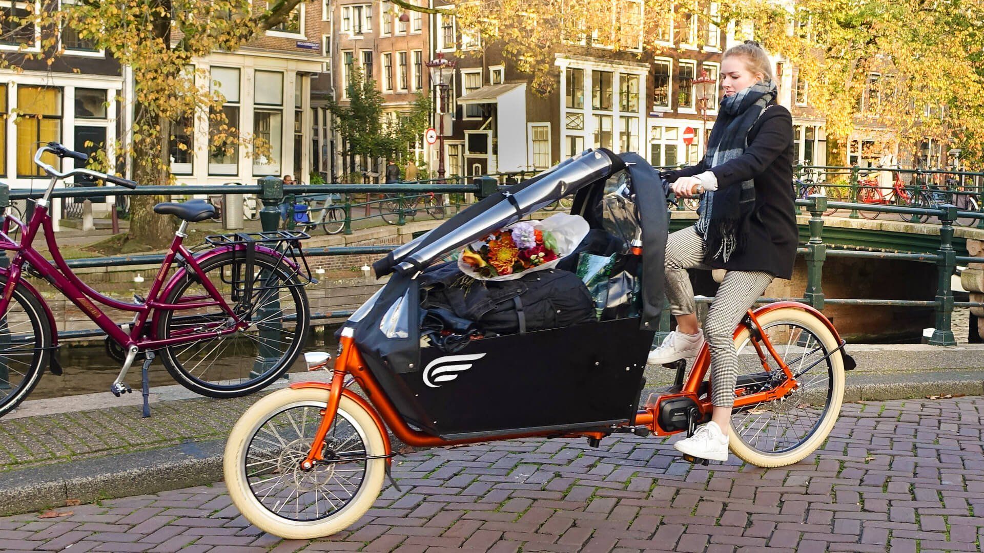 Biporteur électrique Bakfiets Confort - Shimano E-Bike Systems - Transport jusqu'à 4 enfants_5