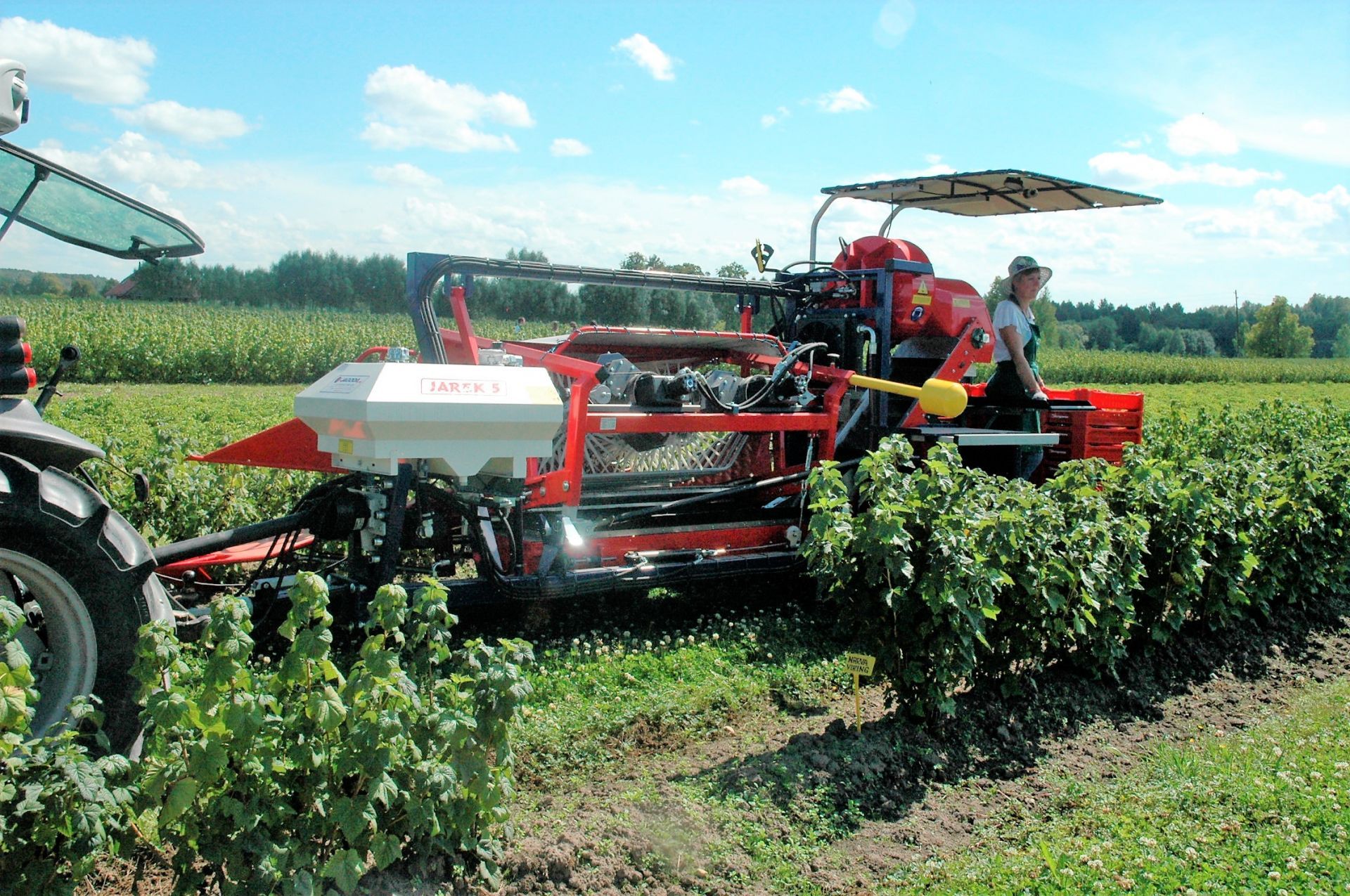 Récolteuse aronia compatible avec caisses palettes