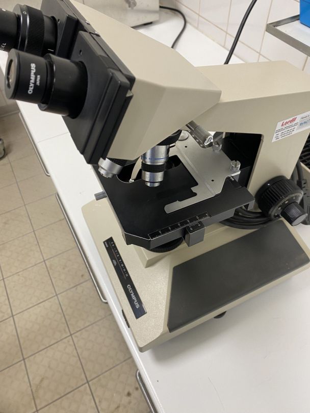 Microscope de laboratoire d'occasion bh-2 olympus - p2212-1959_5