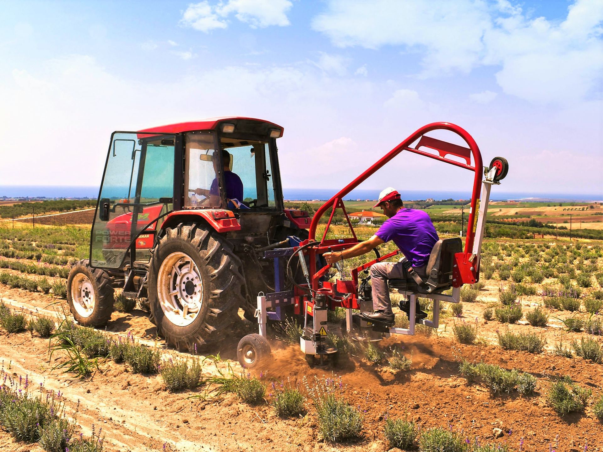 Bineuse mécanique pour rangées de laitue et rhubarbe