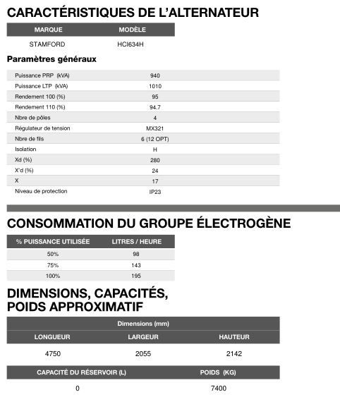 AP-1005 50 Hz - Groupe électrogène en container triphasé 999,1 kVA - Moteur Perkins et alternateur Stamford_5