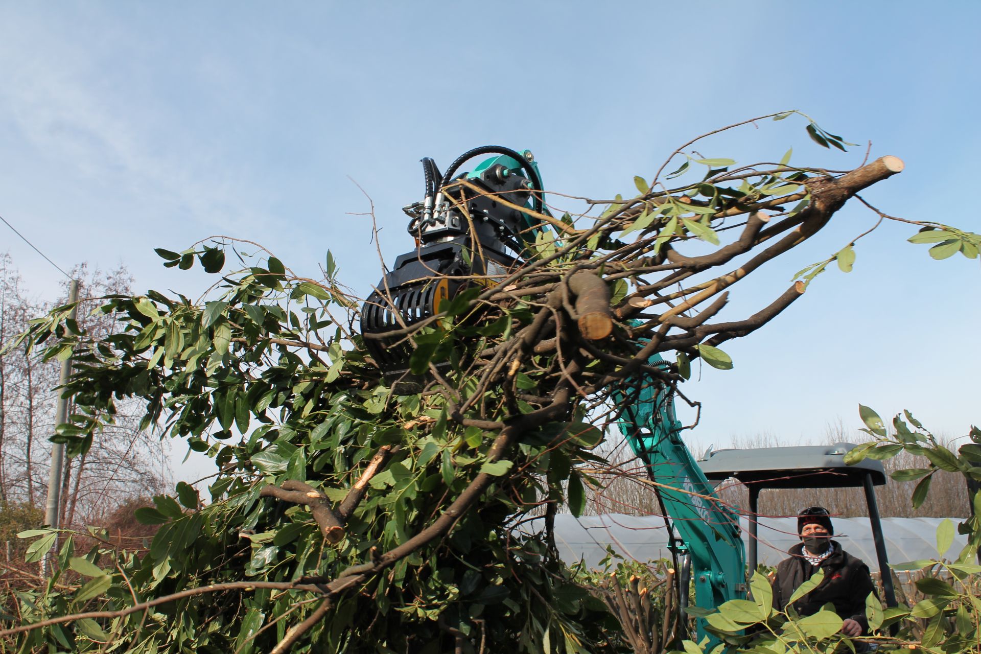 Pince de tri MB-G350 s4_5