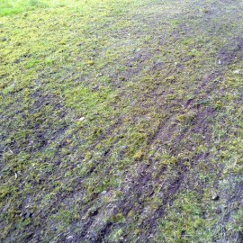 Herse 1.4 M tractable Jansen_5