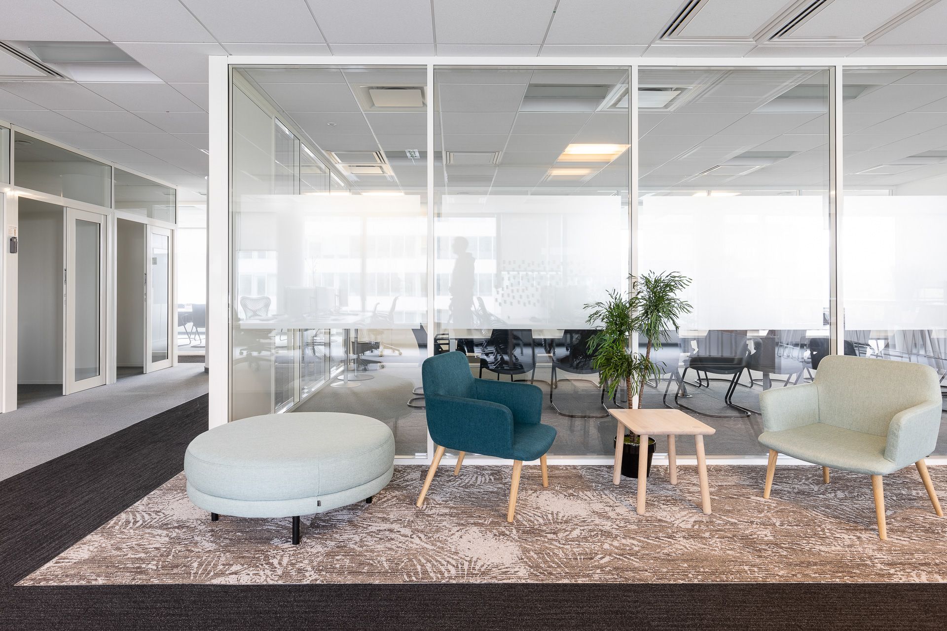 Cloison amovible bord à bord - Omnidec - panneaux mélaminés sans couvre-joints_5