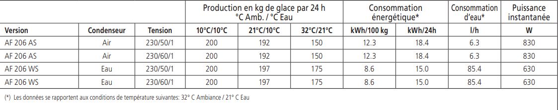 Machine à glace en grains avec design compact pour un usage professionnel