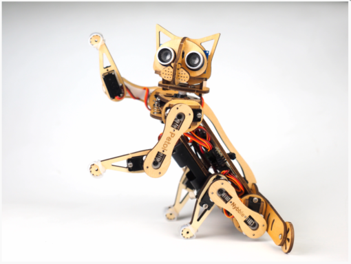 KIT ROBOT CHAT MIGNON OPEN SOURCE NYBBLE KITTEN PETOI OPENCAT À MONTER ET À PROGRAMMER_5
