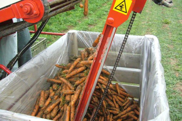 Récolteuse de carotte p3r - simon_5