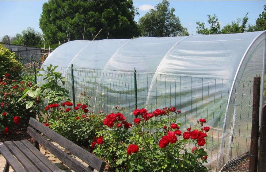 Serre tunnel mixte intelligent - 3 à 12 mètres de long - OPTIMUM_5