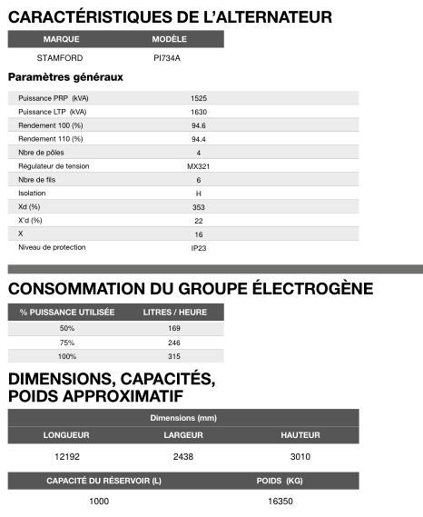 CP-1620 60 Hz triphasé - Groupe électrogène en container Inmesol - 1 304 kVA PRP / 1 630 kVA LTP_5