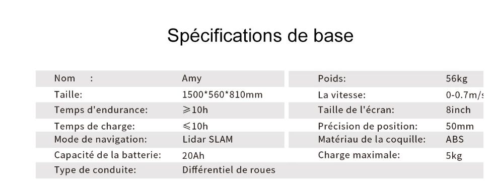 Robot de service pour gestion de livraison