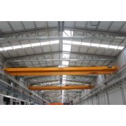 Grues avec ponts roulants double et unique poutres avec une capacité de charge de 1 à 63 tonnes - BVS_5