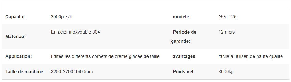 Machine de fabrication de cornets de crème glacée - Gelgoog - 2500 pcs/h - modèle GGTT25 - certification CE_5