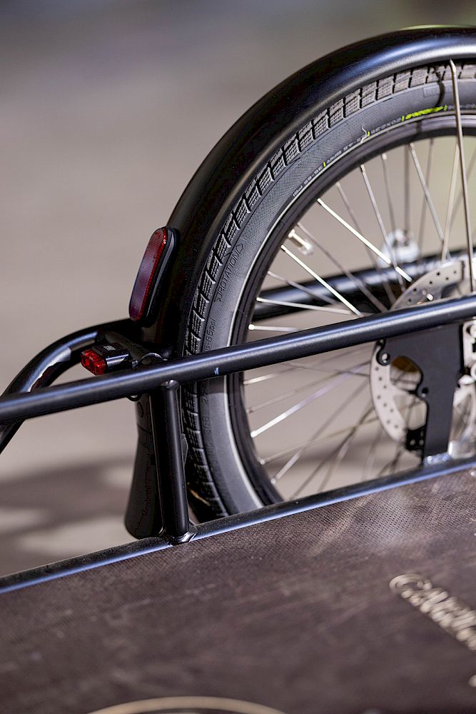 Remorque professionnelle pour vélo avec capacité de chargement 2 m3 - Carla Maxi PRO