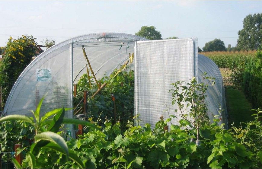 Serre de jardin idéale pour les collectivités - FLANDRES_5