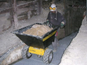 Brouette électrique 24v / 600w s2 20 min - alitrak - dt-300e_5