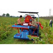 Récolteuse de framboises JAREK 5R - Jagoda JPS, avec système de nettoyage et tête spéciale_5