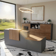 Comptoir d'accueil bi-colore avec PMR Delta et réhausse - 242, Droite, Oui, Anthracite, Acacia foncé_0