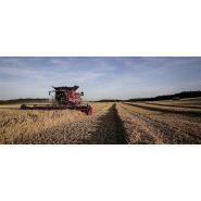 Moissonneuse-batteuse Axial-Flow série 140 - Case IH - largeur 3.7 à 4.6 m - trémie 8810 à 10570 L_5