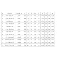 AUSBAU-STB - Rampe de chargement fixe avec plate-forme horizontale - AV-EXIM - structure métallique inclinée_5