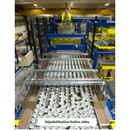 Palettiseur et dépalettiseur pour l'agroalimentaire, la conserverie - MECTRA_5