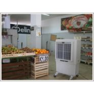 Master BC 60 - Rafraîchisseur d'air avec ionisateur, télécommande et débit de 6.000 m3/h - Master Climate Solutions_5