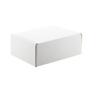 Boîte postale carrée en carton ondulé - impression couleur sur mesure - bande auto-scellante_5