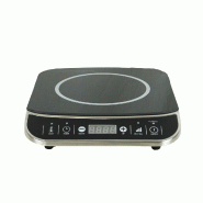 Plaque induction 2000w l293 7020.0125 COMBISTEEL_5