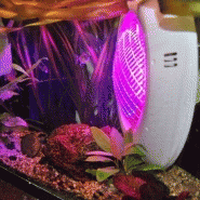 Projecteur LED RGB 35W extra-plat pour piscine - Étanche IP68 avec télécommande et 19 modes d'éclairage_5