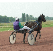 Sables pour construction et travaux publics