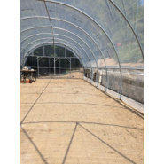 Serre de jardin modèle tubulaire à porte battante ou coulissante_5