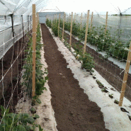 Filet à ramer/tuteurer - 1.70m, 1000m_5