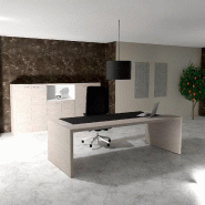 Bureau de Direction E10 - QUADRIFOGLIO - 204, Orme gris, Sans voile de fond, Cuir noir_0