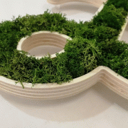 Logo ou Lettres Végétales - 10 mm, Vert, Lichen scandinave pour l'intérieur uniquement, Lettres_5