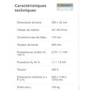 CS 250 - Tronçonneuse à fraise-scie - PWA Handelsges - Lame 250 x 32 mm inclinable à 45°_5