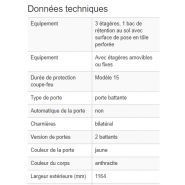 219796w - Armoire de sécurité coupe-feu 15 minutes - Type Express 15-123 - Conforme EN 14470-1_5