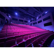 Siège de  spectacle en mousse injectée pour un confort optimal_5